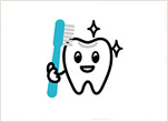 歯の豆知識